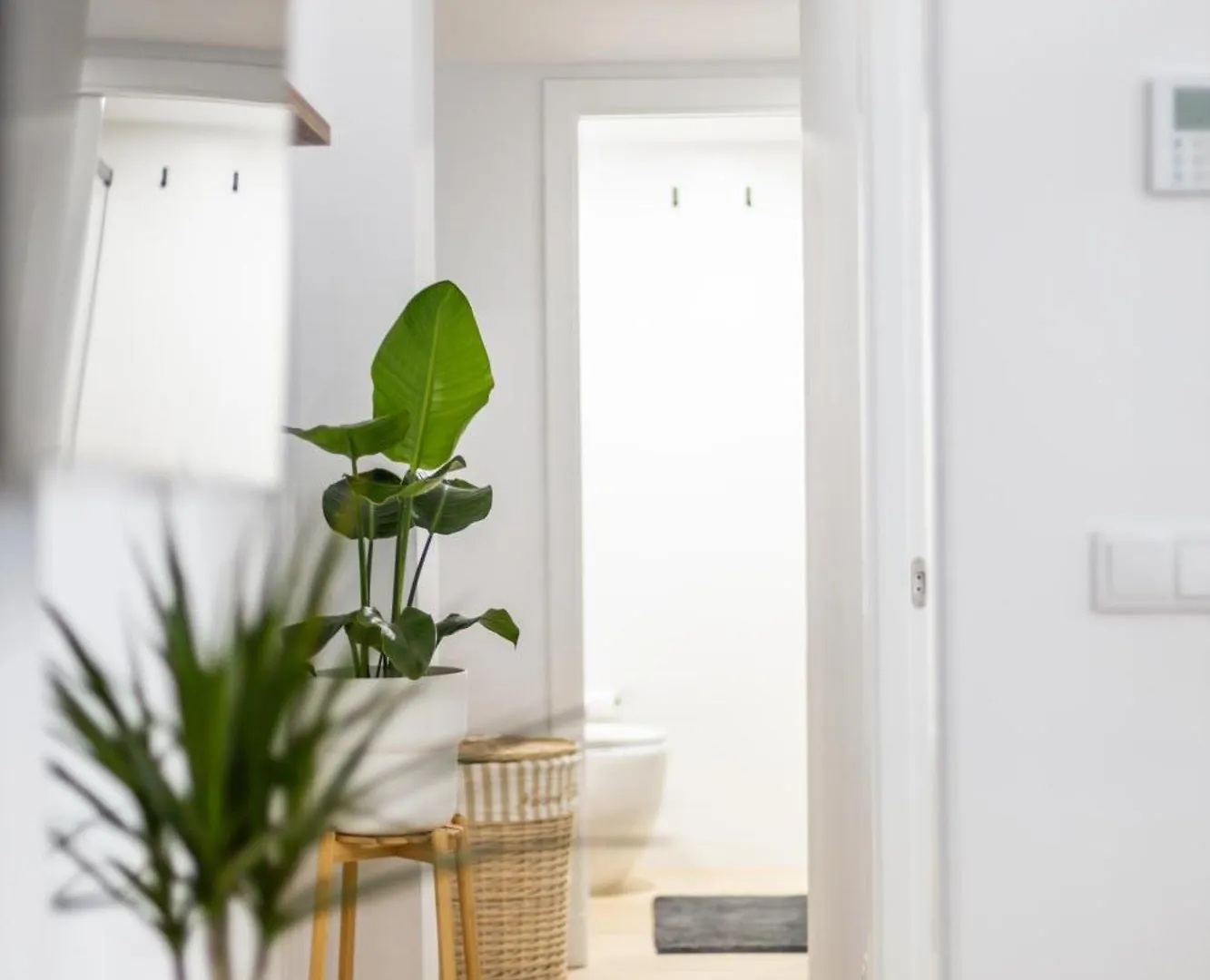 Apartment Brisa De Verano By Cadiz Time